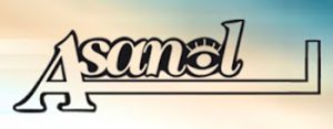 Logo Asanol - die LHON Vereinigung in Spanien