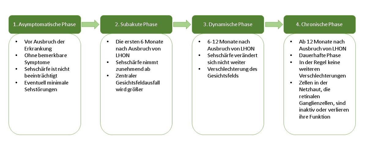 Auf dieser Grafik ist die Abfolge der Augenerkrankung LHON in 4 Schritten zu sehen. Beginnend mit der Asymptomischen Phase, gefolgt von der Subaktuten und Dynamischen Phase, endend in der Chronischen Phase.